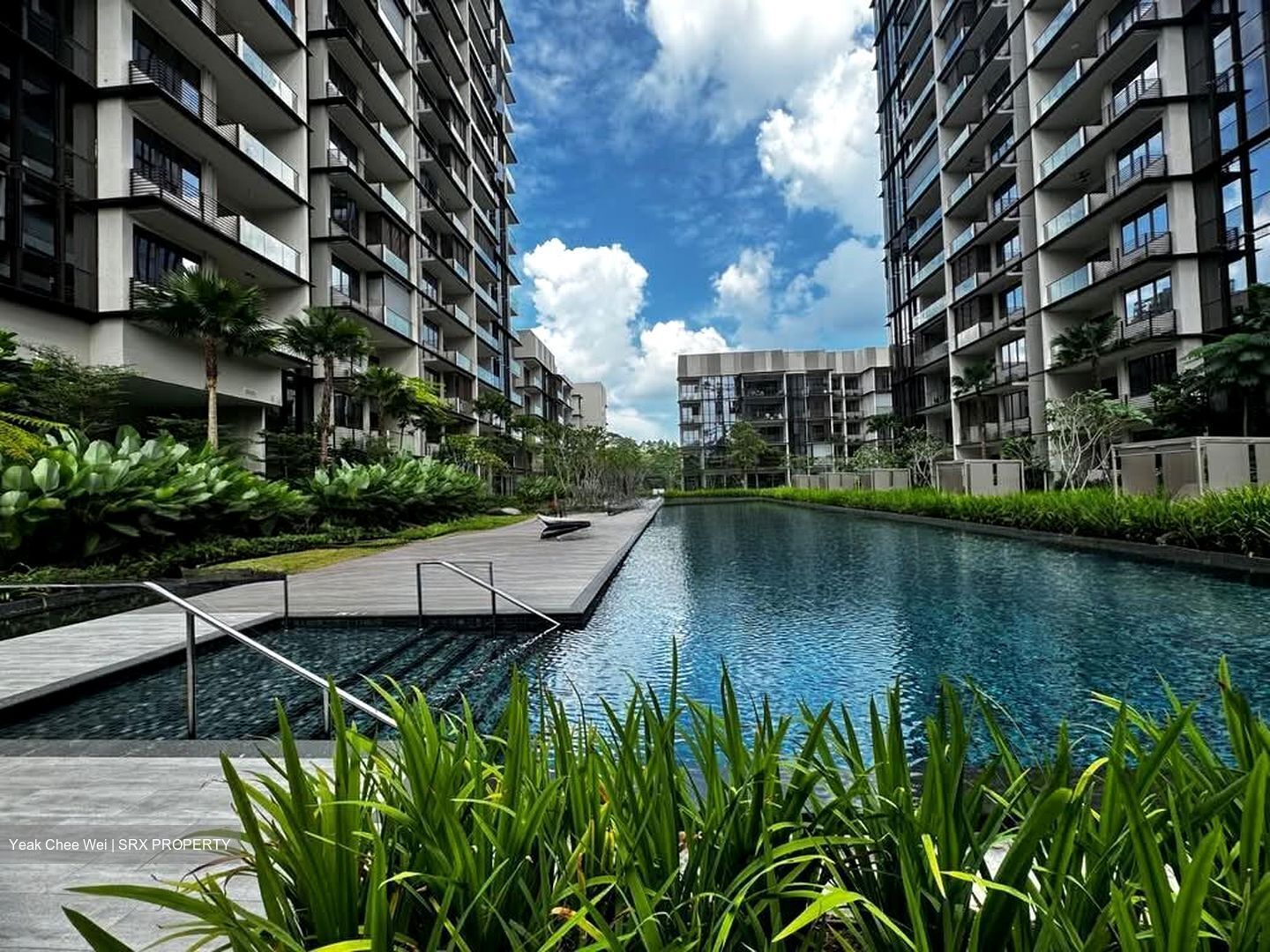 Dairy Farm Residences (D23), Apartment #560920471